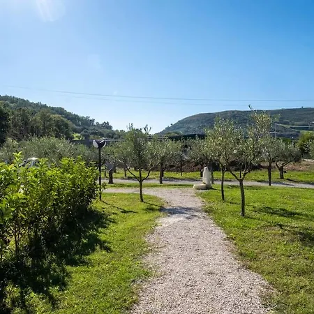 Laurus Cilento Relax Beb Couette-café